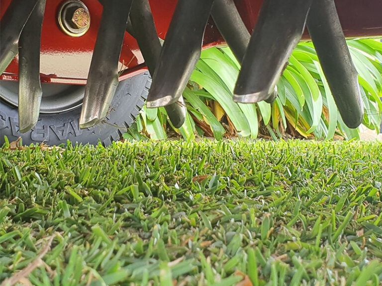 Bluegrass Aerating Service Canning Vale