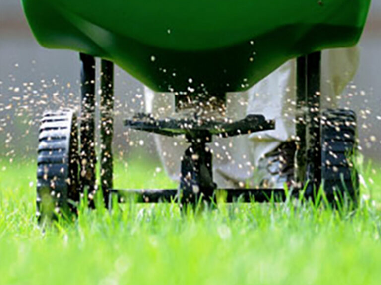 Bluegrass Lawn Fertilising Service Canning Vale