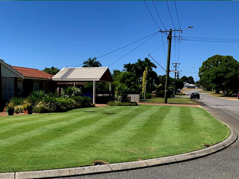 Bluegrass Lawnmowing Service Canning Vale