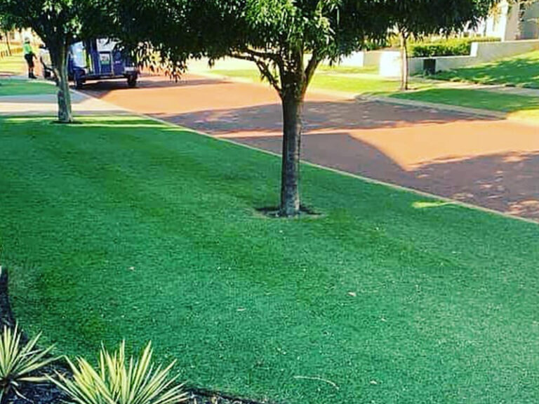 Bluegrass Lawnmowing Service Canning Vale