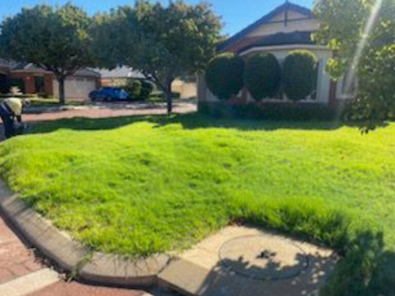 Bluegrass Long Grass Slashing Service Canning Vale