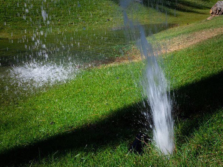 Bluegrass Reticulation Service Canning Vale