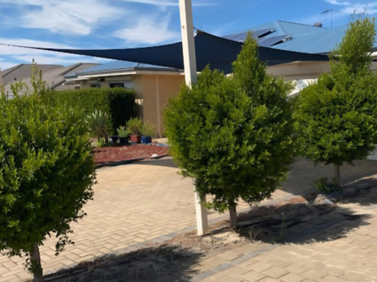 Bluegrass Tree Hedge Trimming Service Canning Vale