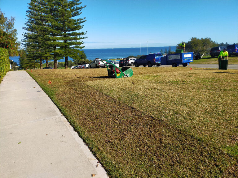 Bluegrass Vertimowing Service Canning Vale