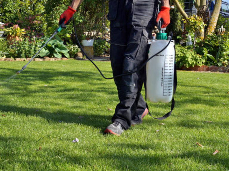 Bluegrass Weed Control Service Canning Vale